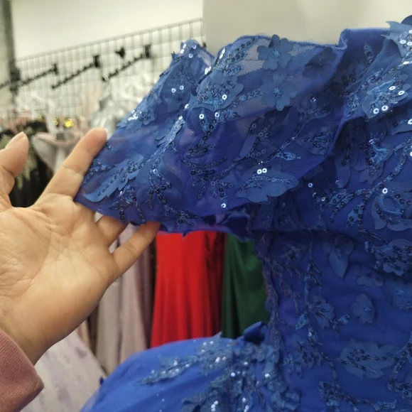 Elegant New Quinceañera Dress - Picture 5 of 11